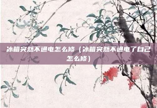 冰箱突然不通电怎么修（冰箱突然不通电了自己怎么修）