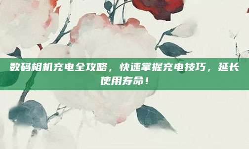 数码相机充电全攻略，快速掌握充电技巧，延长使用寿命！
