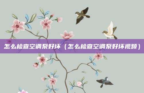 怎么检查空调泵好坏（怎么检查空调泵好坏视频）