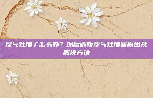 煤气灶堵了怎么办？深度解析煤气灶堵塞原因及解决方法