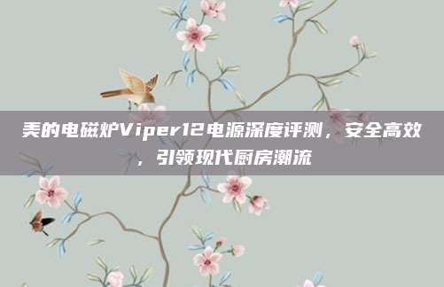 美的电磁炉Viper12电源深度评测，安全高效，引领现代厨房潮流