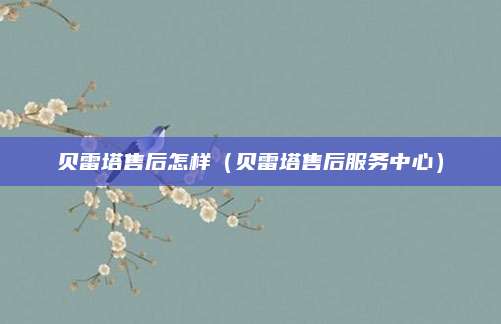贝雷塔售后怎样（贝雷塔售后服务中心）