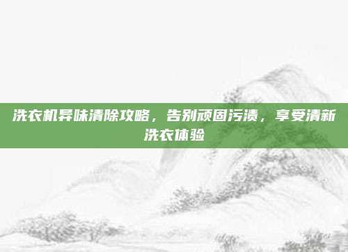 洗衣机异味清除攻略，告别顽固污渍，享受清新洗衣体验
