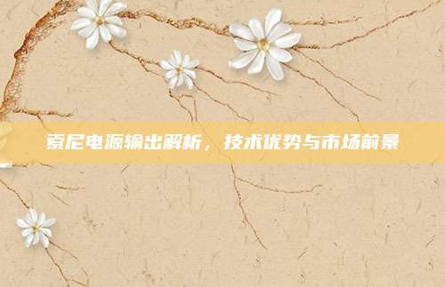 索尼电源输出解析，技术优势与市场前景
