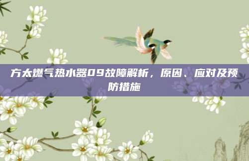 方太燃气热水器09故障解析，原因、应对及预防措施