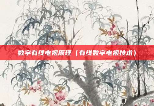 数字有线电视原理（有线数字电视技术）