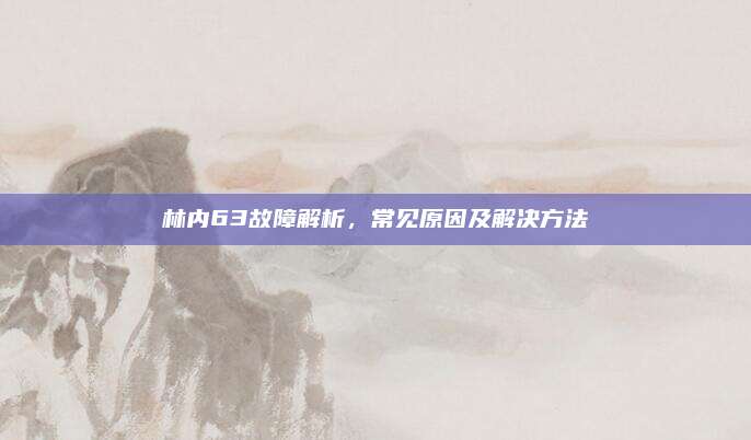 林内63故障解析，常见原因及解决方法
