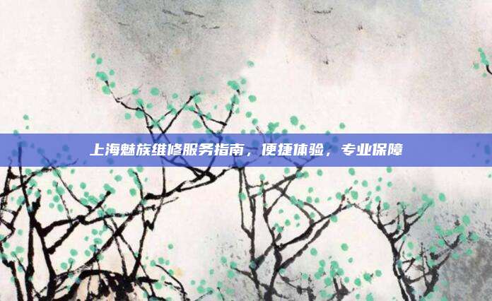 上海魅族维修服务指南，便捷体验，专业保障