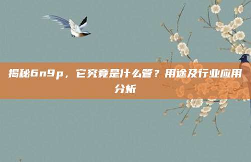 揭秘6n9p，它究竟是什么管？用途及行业应用分析