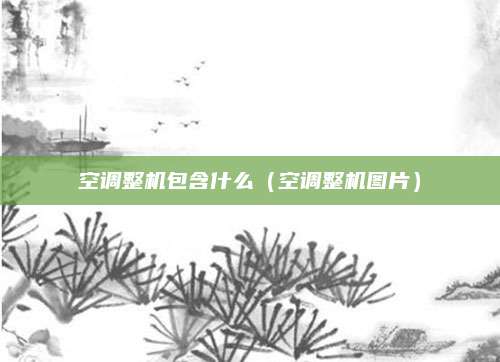 空调整机包含什么（空调整机图片）