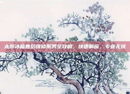 太原冰箱售后维修服务全攻略，快速响应，专业无忧