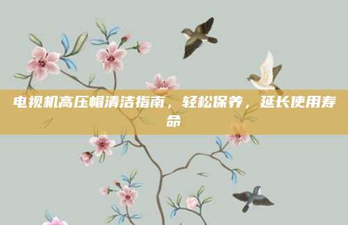 电视机高压帽清洁指南，轻松保养，延长使用寿命