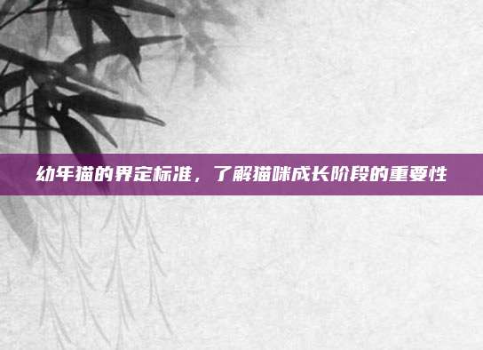 幼年猫的界定标准,了解猫咪成长阶段的重要性