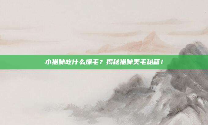小猫咪吃什么爆毛？揭秘猫咪美毛秘籍！