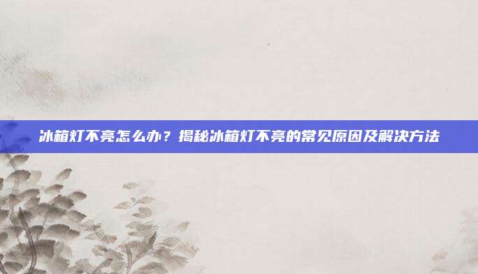 冰箱灯不亮怎么办？揭秘冰箱灯不亮的常见原因及解决方法