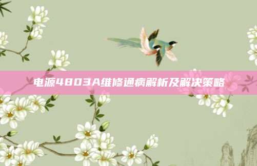 电源4803A维修通病解析及解决策略