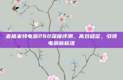 麦格米特电源260深度评测，高效稳定，引领电源新标准