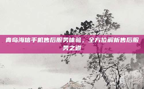 青岛海信手机售后服务体验，全方位解析售后服务之道