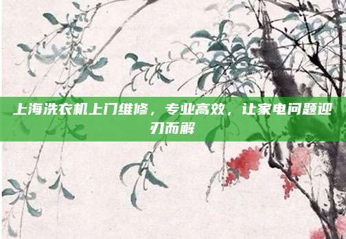 上海洗衣机上门维修，专业高效，让家电问题迎刃而解