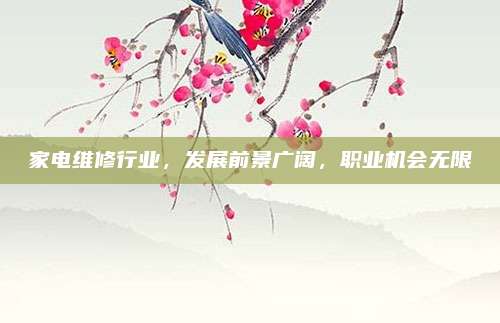 家电维修行业，发展前景广阔，职业机会无限
