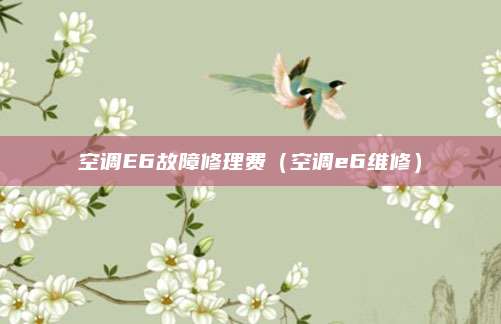空调E6故障修理费（空调e6维修）