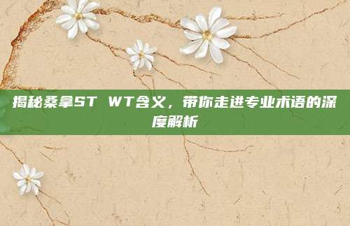 揭秘桑拿ST WT含义，带你走进专业术语的深度解析
