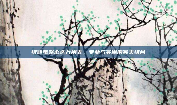 维修电路必选万用表，专业与实用的完美结合