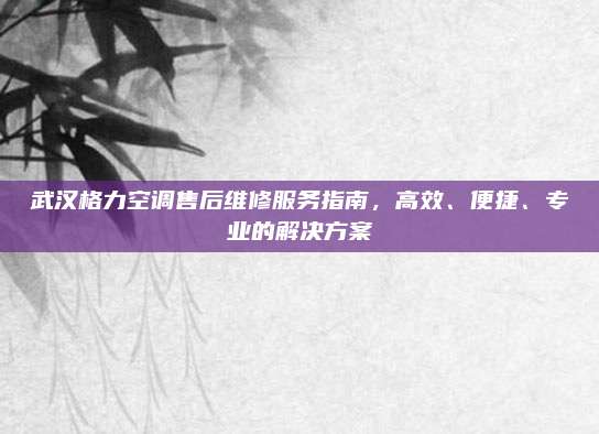 武汉格力空调售后维修服务指南，高效、便捷、专业的解决方案