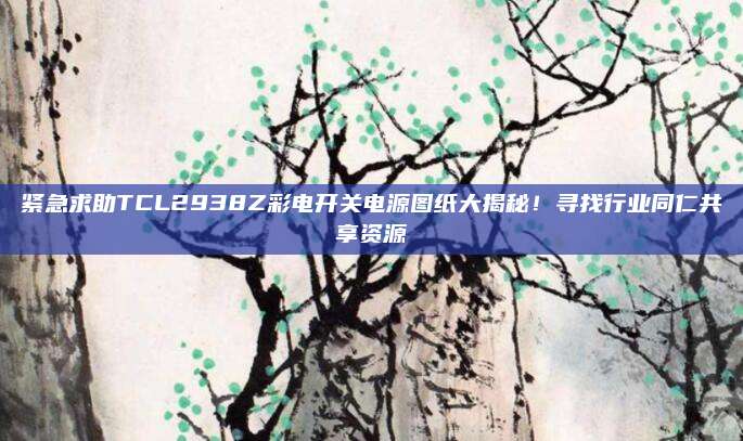 紧急求助TCL2938Z彩电开关电源图纸大揭秘！寻找行业同仁共享资源