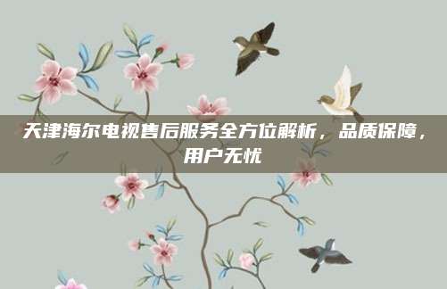 天津海尔电视售后服务全方位解析，品质保障，用户无忧