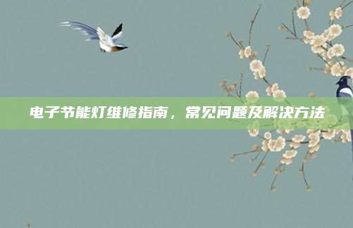 电子节能灯维修指南，常见问题及解决方法