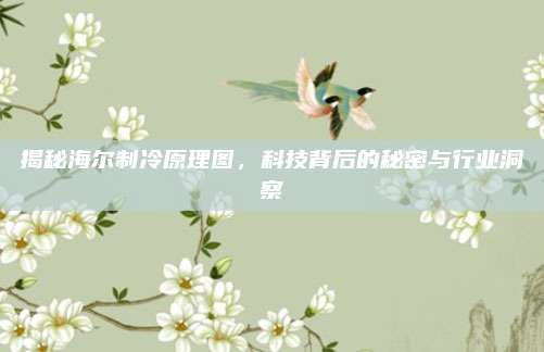 揭秘海尔制冷原理图，科技背后的秘密与行业洞察