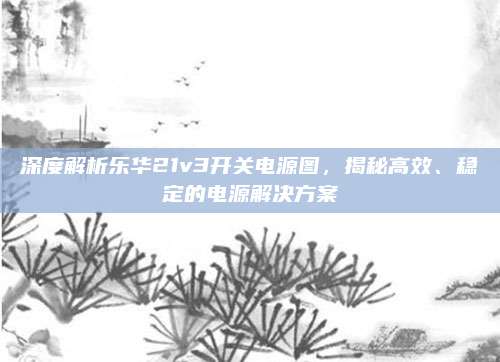深度解析乐华21v3开关电源图，揭秘高效、稳定的电源解决方案