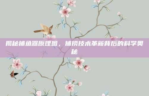 揭秘捕鱼器原理图，捕捞技术革新背后的科学奥秘