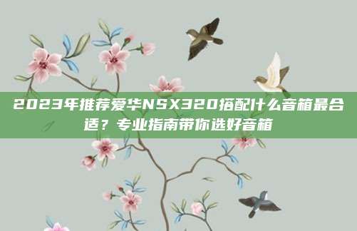 2023年推荐爱华NSX320搭配什么音箱最合适?专业指南带你选好音箱