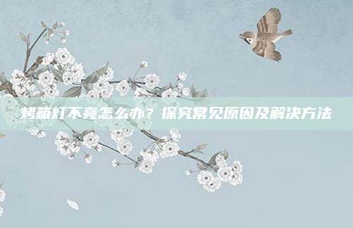 烤箱灯不亮怎么办？探究常见原因及解决方法