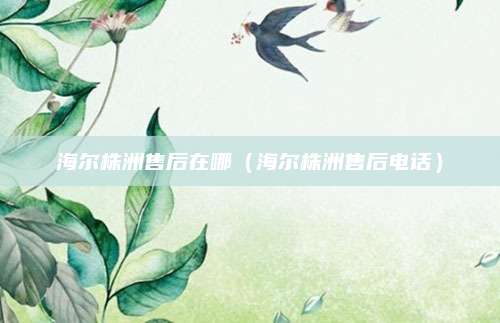 海尔株洲售后在哪（海尔株洲售后电话）