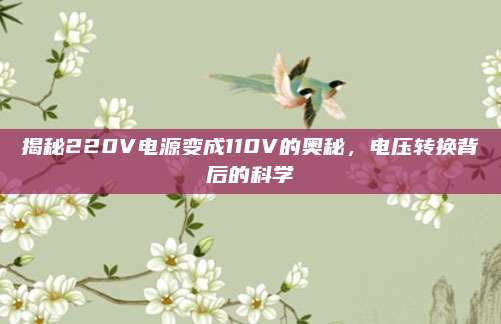 揭秘220V电源变成110V的奥秘，电压转换背后的科学