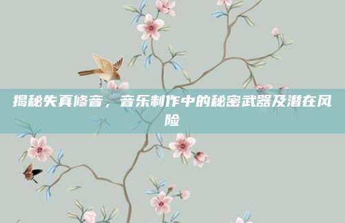 揭秘失真修音,音乐制作中的秘密武器及潜在风险