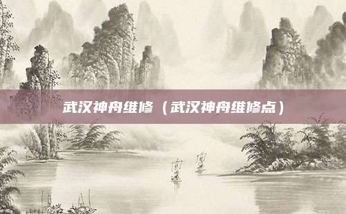 武汉神舟维修（武汉神舟维修点）