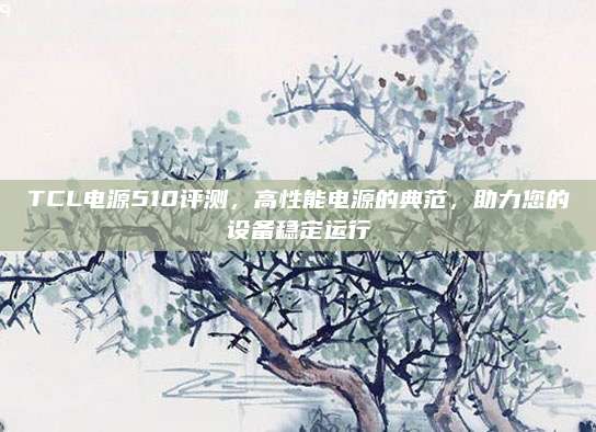 TCL电源510评测，高性能电源的典范，助力您的设备稳定运行
