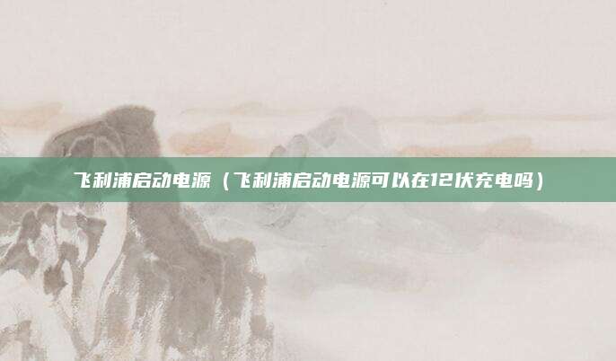飞利浦启动电源(飞利浦启动电源可以在12伏充电吗)
