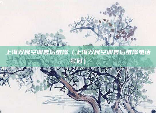 上海双良空调售后维修(上海双良空调售后维修电话号码)