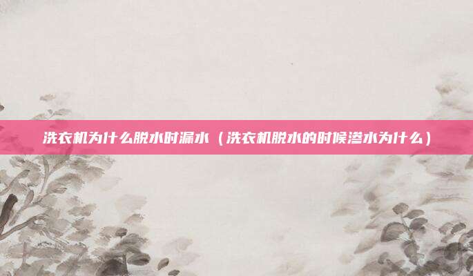 洗衣机为什么脱水时漏水(洗衣机脱水的时候渗水为什么)