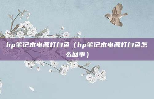 hp笔记本电源灯白色(hp笔记本电源灯白色怎么回事)