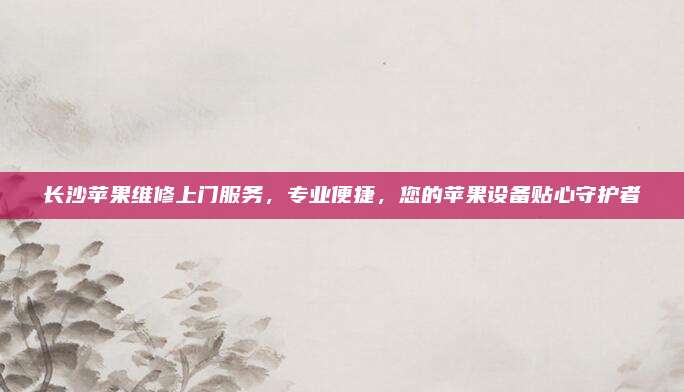 长沙苹果维修上门服务,专业便捷,您的苹果设备贴心守护者