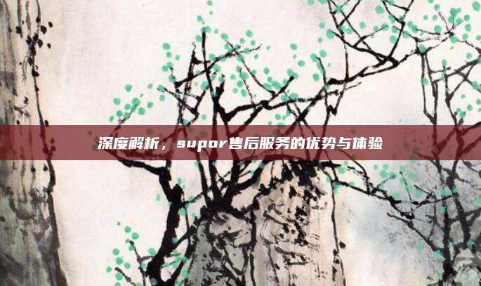 深度解析,supor售后服务的优势与体验