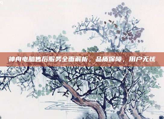 神舟电脑售后服务全面解析,品质保障,用户无忧