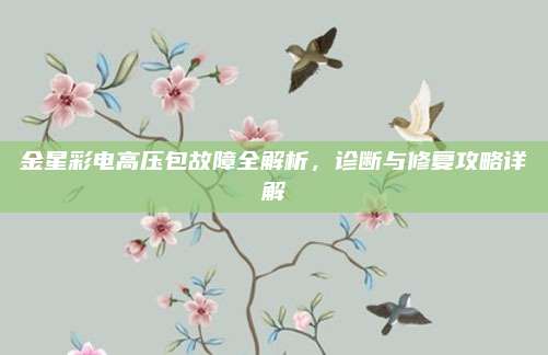 金星彩电高压包故障全解析,诊断与修复攻略详解