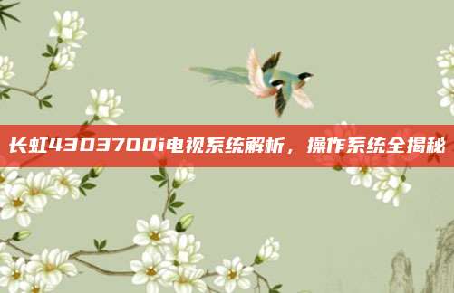 长虹43D37O0i电视系统解析,操作系统全揭秘